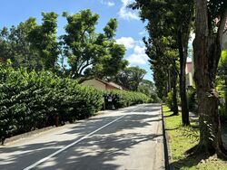 Capitol Park (D11), Semi-Detached #432835921